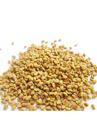 Les multiples secrets de l'huile de graines de fenugrec – L'Eveil