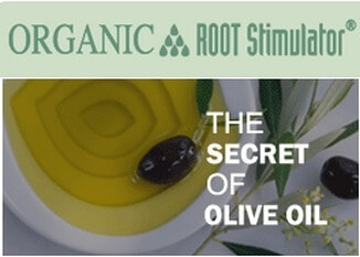 Organic Root Stimulator